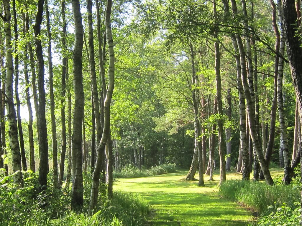 Sikhall Camping Sorbo  Bagian luar foto